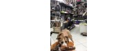 10-718 PET SHOP [Λεωφ. Λαυρίου 16χλμ] Σχεδιασμός & Υλοποίηση καταστήματος pet shop PETOCLOCK.